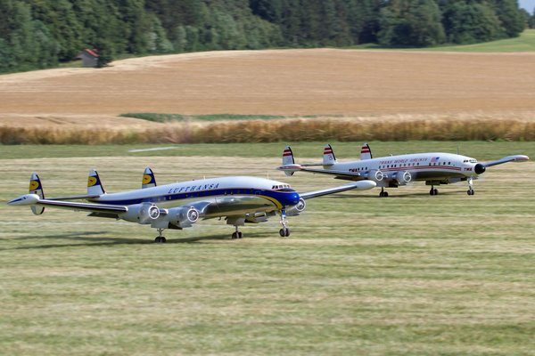 Styles de vestes en cuir : qualité premium et expédition offerte